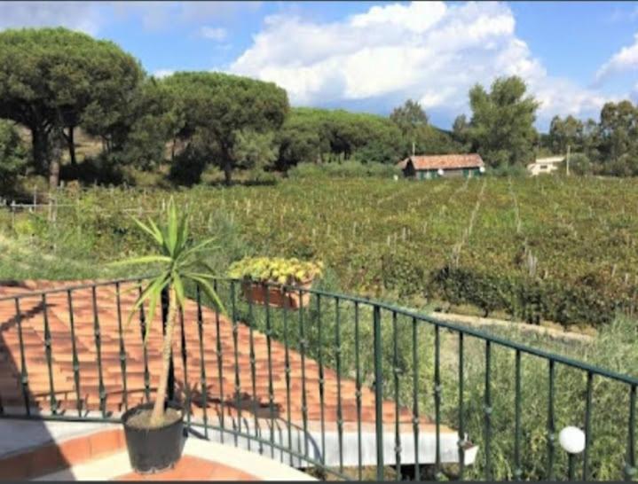 Вилла Beb Casale Pompei Rendine Boscotrecase Экстерьер фото