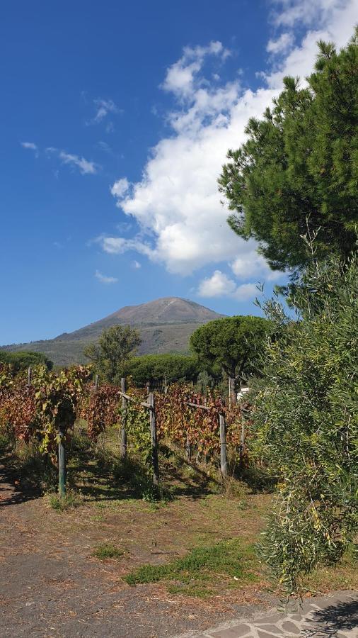 Вилла Beb Casale Pompei Rendine Boscotrecase Экстерьер фото